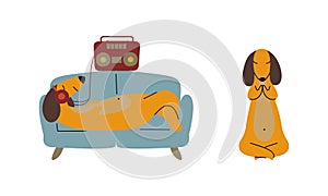 Comic Brown Dachshund Dog Lounging on Sofa Listening to Music with Earphones and Sitting in Lotus Yoga Pose Vector Set