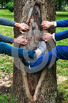 Comic imitation of spreading the bark of a tree