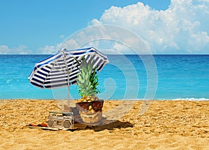 Comico ananas cartello con rilassante vacanza sul caldo sabbioso Spiaggia secondo turchese blu Oceano 
