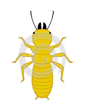 Comic Termite Insect