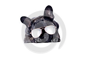 Comical dog with  sun glasses