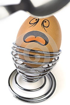 Comical Egg photo