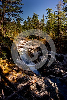 Coming down from the top - Englishman river falls, Vancouver Island, BC