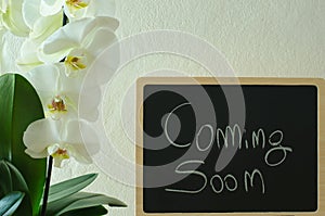Coming soon message on blackboard with a white orchid beside