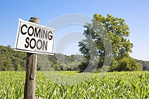 Coming Soon text written on wooden advertising billboard in a rural scene with tree