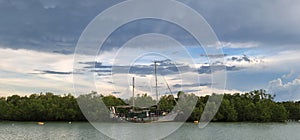 Coming Storm over the Mangrove