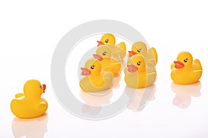 Command concept. One yellow rubber duck stand in front of wedge of ducklings