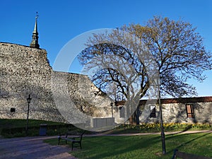 The commandant`s garden, the medieval defensive wall and the spire of the Niguliste church against the background of a blue,