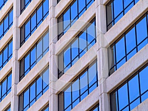 Commercial Building Windows