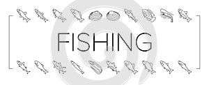 Commercial Fishing Aquaculture Icons Set Vector .
