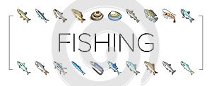 Commercial Fishing Aquaculture Icons Set Vector .