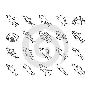 Commercial Fishing Aquaculture Icons Set Vector .