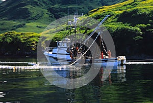 Commercial Fishing Boat