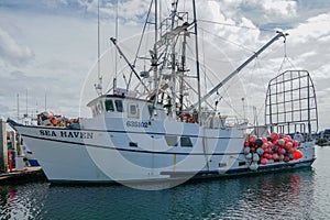 Commercial Fishing Boats Docked in San Diego Harbor.