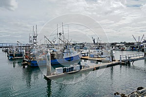 Commercial Fishing Boats Docked in San Diego Harbor.