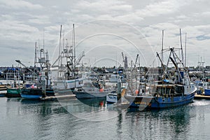 Commercial Fishing Boats Docked in San Diego Harbor.