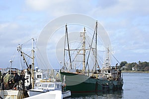 Commercial fishing boats in a harbor