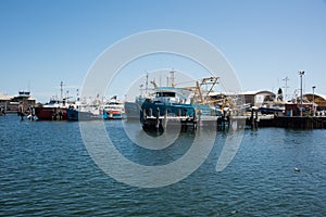 Commercial Fishing Industry in Fremantle