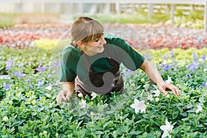 Commercial gardener with her flowers
