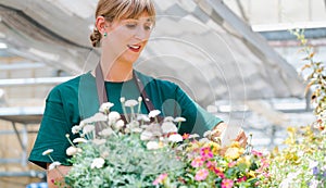 Commercial gardener woman taking care of her potted flowers