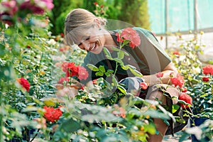 Commercial gardener woman working in the roses