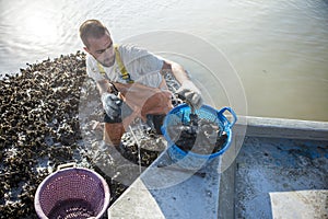 Commercial oyster fisherman photo