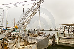Commercial shrimp boats at dock
