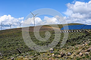 Commercial utility installation of blue photovoltaic panels on a sunny day, dry landscape with wind turbines in background, green