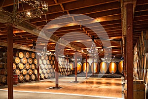 Commercial wine cellar