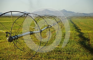 Commerical Farm Irrigation System on Wheels photo