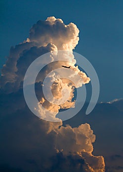 A Commericial Airliner and a Thunderhead at Sunset.