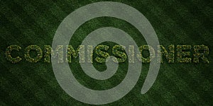 COMMISSIONER - fresh Grass letters with flowers and dandelions - 3D rendered royalty free stock image photo