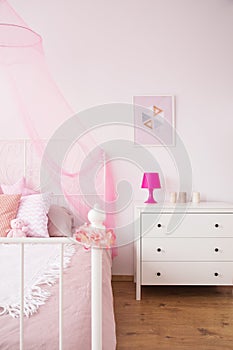 Commode and conopy bed