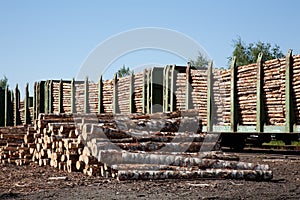 Commodity cars transporting wood