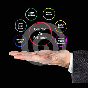 Common Air Pollutants