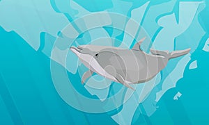 Common bottlenose dolphin swim in warm sea water. Realistic vector