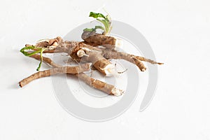 Chicory root Cichorium intybus with leaves on a white background