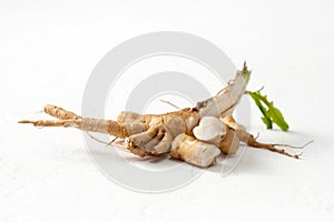 Raw chicory root Cichorium intybus with leaves on a white background photo