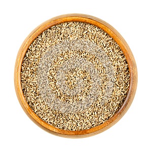 Common chicory seeds, Cichorium intybus, in a wooden bowl