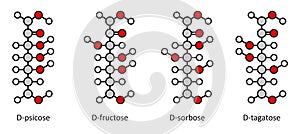 Common D-ketohexose sugars: psicose, fructose, sorbose, tagatose. Fischer-like projections