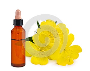 Common evening primrose with essence bottle