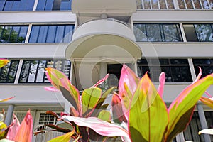 Common exterior view of old public housing with many windows in Tiong Bahru heartland estate. The art deco inspired architecture