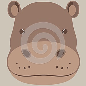 common hippopotamus herbivore mammal animal face