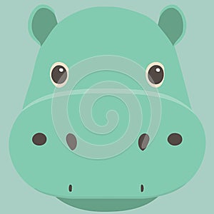 common hippopotamus herbivore mammal animal face