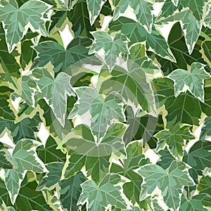 Common ivy green seamless pattern vector illustration