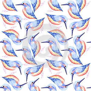 Common Kingfisher or Alcedinidae bird seamless watercolor birds painting background