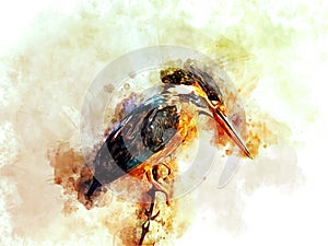 Common Kingfisher Digital Art