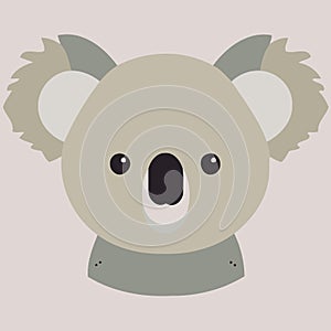 common koala herbivore mammal animal face