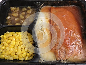 Common Meatloaf TV Dinner