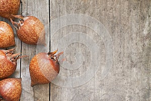 Common medlar fruit